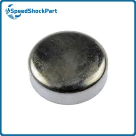 SSPFCRD120250401114708A AUTOGRADE Rear Engine Expansion Plug
