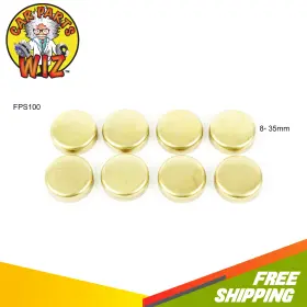 CPW2210 CPW Expansion Plug Champ Kit Chevrolet Dodge Accent