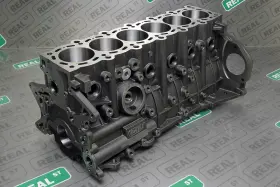 31011011 DART Bhn Cast Iron Block Head Studs Eagle