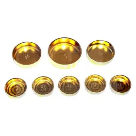 FPS125 DNJ Engine Center Expansion Plug Kit Hyundai Sonata