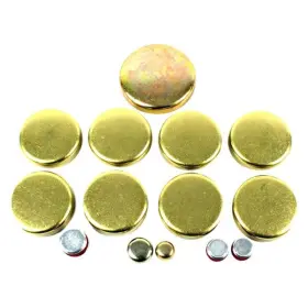 FPS3125 DNJ Engine Expansion Plug Kit G1500 Gmc