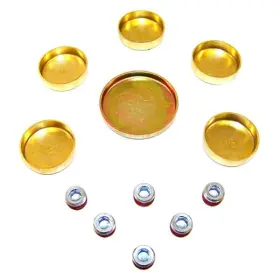 FPS4137 DNJ Engine Expansion Plug Kit Ford Ranger