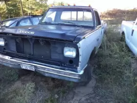 TDOD250 DODGE TRUCK Cylinder Block #2