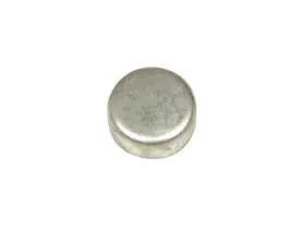 FD19B2 DORMAN Expansion Plug Reatta Riviera Skyhawk Century