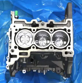 G1FZ-6009-A FORD Engine Block Ecosport Focus