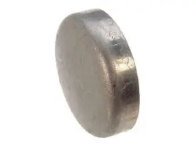 21426WTPD VOLKSWAGEN Freeze Plug Beetle