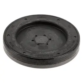 W0133-1841253-OES FORD Expansion Plug Mustang