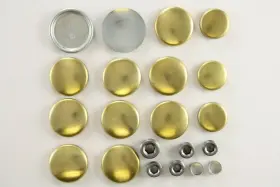 830007 PIONEER Engine Expansion Plug Kit