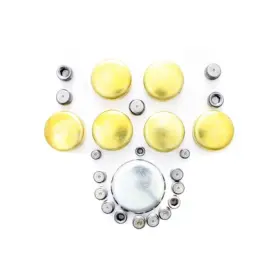 830019 PIONEER Expansion Plug Kit