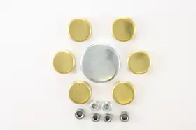 PE-125-BR PIONEER Engine Expansion Plug Kit
