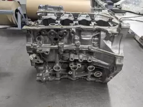 302-60110 SCION Engine Cylinder Block Ia #3