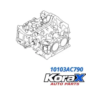 10103AC790 SUBARU Block Engine Forester