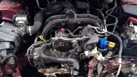 300-10024 SUBARU Engine Pzev