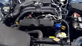 300-10253 SUBARU Engine Pzev #2