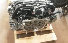 300-10646 SUBARU Motor Forester #3