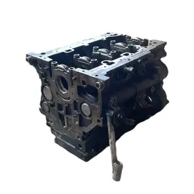 03N023A VOLKSWAGEN Tdi Engine Block Core Audi