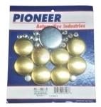 Pioneer Pe-100-b Freeze Plug Kit Sbc 1964-1997 Brass. Fixed Price $32.95.