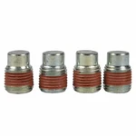 Genuine Ford Engine Core Plug W706310-s900. Fixed Price $1.80.
