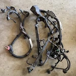 2009-2010 Acura Tsx Engine Wire Harness 2.4l A/t Oem 32110-rl5-a50. Fixed Price $200.00.
