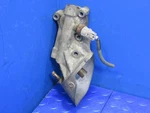 03-09 4runner / 05-15 Tacoma 4.0l V6 1gr-fe Oil Filter Housing Bracket Oem 2683. Fixed Price $109.99.