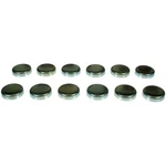 Engine Expansion Plug Kit Fits 1985-1996 Nissan Maxima Pathfinder D21 Melling. Fixed Price $13.84.