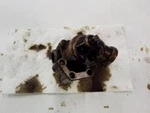 4.2l Engine Oil Pump Fits 1969-1987 Jaguar Xj6. Fixed Price $44.00.