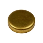 Expansion Plug Brass 1.593 In. Maximum Diameter 1.574 Minimum. Fixed Price $31.99.