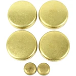 Fps800 Dnj Freeze Plugs For Vw Audi A4 Volkswagen Golf Tt Quattro Jetta Passat. Fixed Price $37.52.