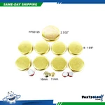 Dnj Fps3125 Expansion Plug Kit For 87-06 Chevrolet Gmc Astro Blazer 4.3l Ohv 12v. Fixed Price $37.99.