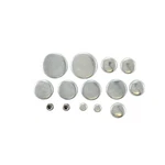 Pioneer Pe137r Engine Expansion Plug Kit. Fixed Price $29.86.