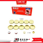 91-14 Expansion Plug Kit For Ford Continental 4.6l-5.4l V8 Dohc 32v Dnj Fps4150. Fixed Price $42.99.