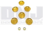 Brass Frost Plug Set Dnj Fps1145 Chrysler 3.5l V6 1993 - 1994. Fixed Price $10.57.