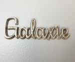 Vintage 1971 1972 Ford Galaxie Emblem Badge Nameplate Fomoco. Fixed Price $14.99.