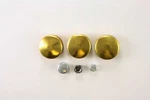 Engine Expansion Plug Kit Pioneer Pe-115-br. Fixed Price $53.30.