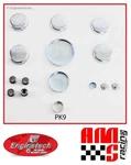 Engine Expansion Freeze Plug Kit For Sbf Ford 289 4.7l 302 5.0l 351w 5.8l. Fixed Price $13.84.