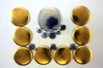 Block Expansion Plug/kits Pioneer Pe185b. Fixed Price $41.49.