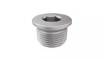 Genuine Mopar Core Plug 4884892aa. Fixed Price $10.54.