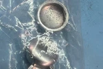 Engine Block Drain Plug Mopar 04556018ab 04556018 4556018ab. Fixed Price $8.54.