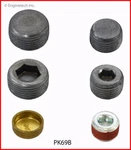 Engine Expansion Plug Kit Enginetech, Inc. Pk69b. Fixed Price $31.99.