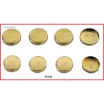 Enginetech Engine Expansion Plug Kit Pk64b;. Fixed Price $47.64.