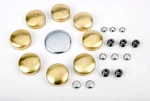 Jegs 58000 Brass Freeze Plug Kit. Fixed Price $19.55.
