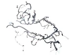 Ram15new 2021 Engine Wire Harness. Fixed Price $294.00.