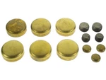 For 1982-1989 Buick Century Expansion Plug Kit 31943wbhq 1983 1984 1985 1986. Fixed Price $28.08.