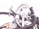 2016 Gmc Savana25 Engine Wire Harness 4.8l Opt L20,c60,jl4,k68 84076479. Fixed Price $307.99.