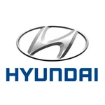 Genuine Hyundai Engine Core Plug 21133-25000. Fixed Price $9.89.