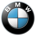 Genuine Bmw Engine Core Plug 07-11-9-902-292. Fixed Price $6.22.