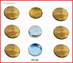 Engine Expansion Plug Kit Enginetech, Inc. Pk73b. Fixed Price $47.99.