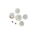 Pioneer Pe181r Engine Expansion Plug Kit. Fixed Price $31.25.