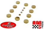 Brass Expansion Freeze Plug Kit For 2003-2010 Ford 6.0l Powerstroke Diesel. Fixed Price $29.98.