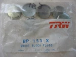 Trw Bp153x Freeze Expansion Plug Set - 1976-1986 Honda Civic 1.5l 1.6l Ef1, Ef2. Fixed Price $9.89.